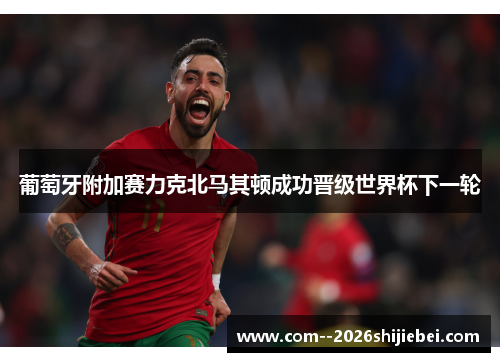 葡萄牙附加赛力克北马其顿成功晋级世界杯下一轮 葡萄牙附加赛力克北马其顿成功晋级世界杯下一轮